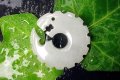 建速素戔鳴尊「天上天下」-七-