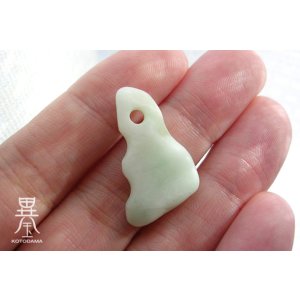 画像: 緑が育む命の鼓動